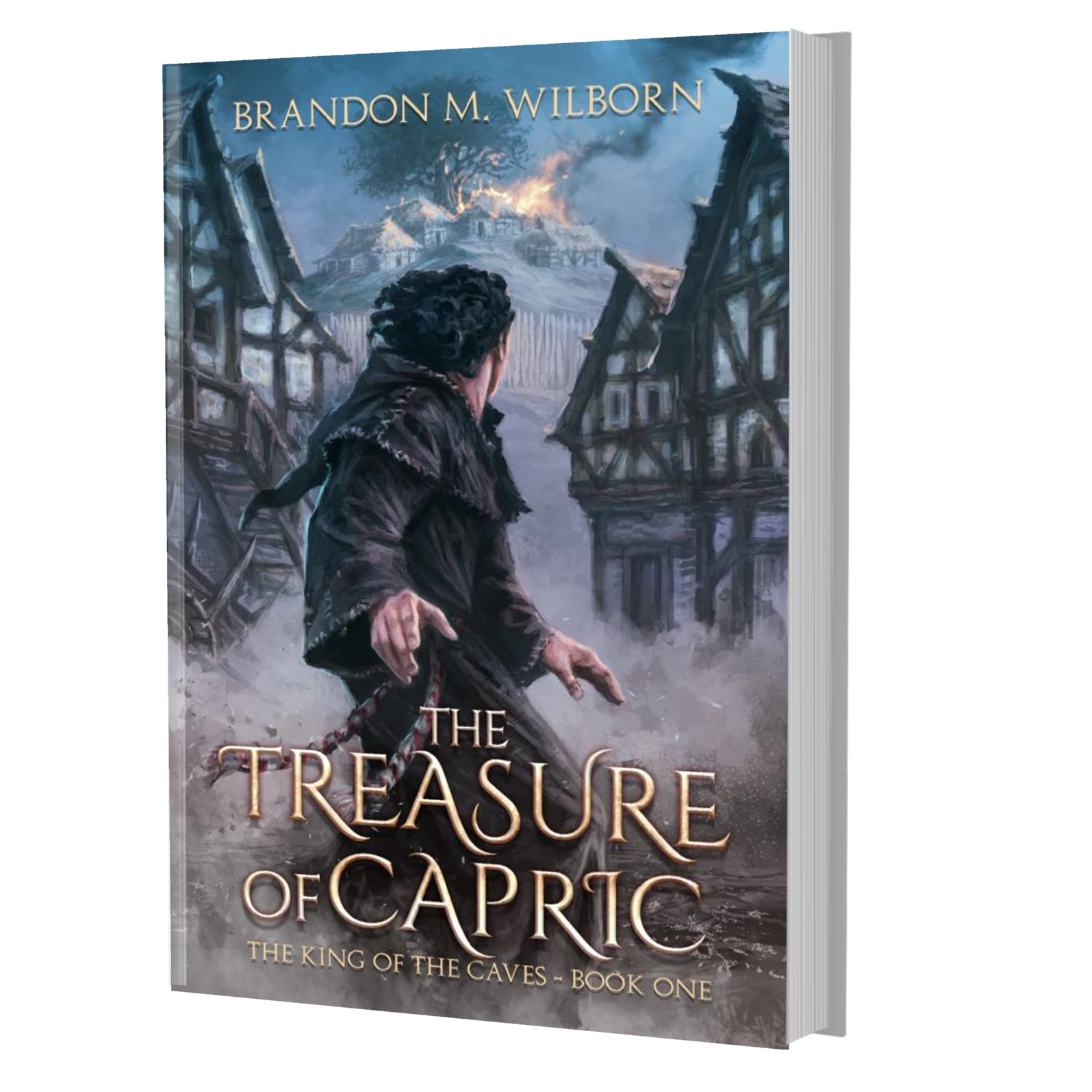 The Treasure of Capric (The King of The Caves Book 1)